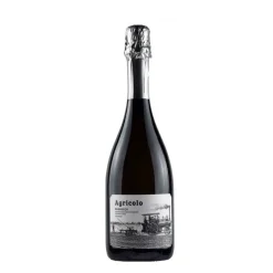 Agricolo Prosecco DOC Extra Dry Metodo Martinotti - Vallis Mareni