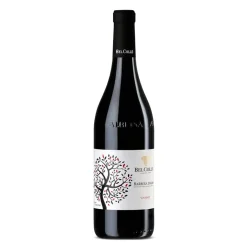 Ape Reale Barbera d'Alba DOC 2024 - Bel Colle