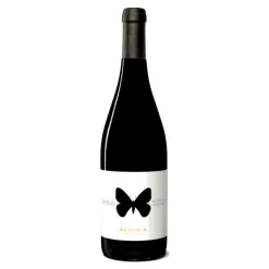 Apollo Montepulciano D'Abruzzo Colline Teramane DOCG 2022 BIO - Ausonia