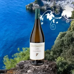 Bianco Capri DOC 2023 Scala Fenicia
