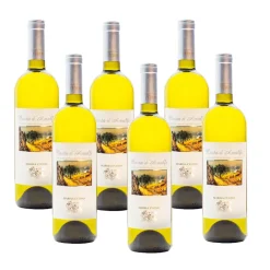 Bianco Costa D'Amalfi DOC 2024 Cantine Marisa Cuomo