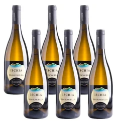Biancolella Ischia DOC 2023 Cantine Tommasone