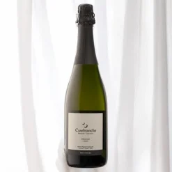 Brut Nature Millesimato Millesimato M.C. BIO 2020 Azienda Agricola Casebianche