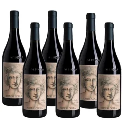 Cascine Drago Nebbiolo D'Alba DOC 2023 Poderi Colla