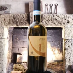Cenatiempo Ischia DOC 2022 Cantina Cenatiempo