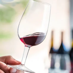31 cl - Bormioli Luigi DOC ISO Calice Degustazione in Vetro - Set 6 Pezzi
