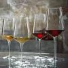 74 cl - Bormioli Luigi Intenso Calice Vino Rosso in Vetro - Set 6 Pezzi