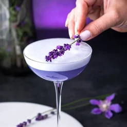 19.5 cl - Nude Hepburn Calici Cocktail Coupe In Vetro Set 6 Pz