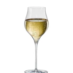 50 cl - Rona Umana Calice Degustazione I Vini Spumanti in Vetro - Set 6 Pezzi
