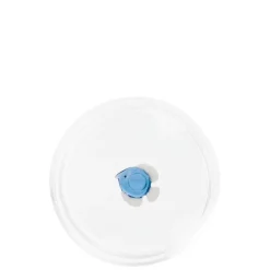 32.5 cl - Zafferano Teca Mare Coppa Fatta a Mano In Vetro Borosilicato
