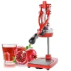 47 cm - Eva Collection Spremiagrumi Manuale In Ghisa