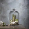 11 cm - Pasabahce Petite Patisserie Coppetta Con Cupola in Vetro