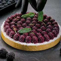 19 cm - Pavoni Raven Stampo Torta Mora In Silicone