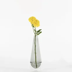 25 cm - Zafferano Conosfera Vaso Fiori In Vetro Borosilicato