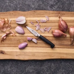 10 cm - Zwilling 4 Stars Spelucchino In Acciaio Inox