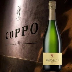 Coppo Alta Langa DOCG Riserva 2018 Cantine Coppo