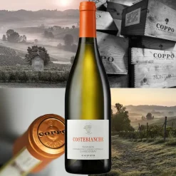 Costebianche Piemonte DOC 2022 Cantine Coppo