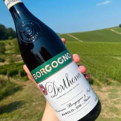 Derthona Colli Tortonesi DOC 2022 Borgogno