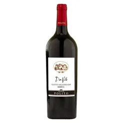 Don Vito Cilento DOC Riserva 2017 Viticoltori Polito - Set of 2 Bottles