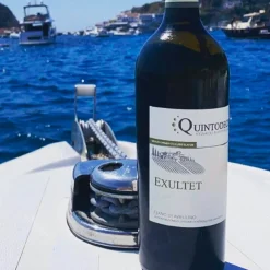 Exultet Fiano di Avellino DOCG 2023 Cantina Quintodecimo