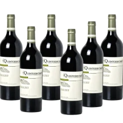 Exultet Fiano di Avellino DOCG 2023 Cantina Quintodecimo