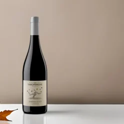Fabio Perrone Barbera D'Asti Superiore DOCG 2021 Azienda Agricola Fabio Perrone