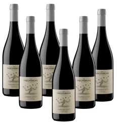 Fabio Perrone Barbera D'Asti Superiore DOCG 2021 Azienda Agricola Fabio Perrone