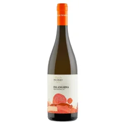 Falanghina Beneventano IGT 2023 Villa Raiano