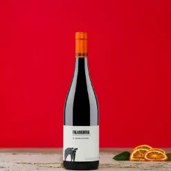 Falanghina Campania IGT 2023 Cantina San Salvatore 1988