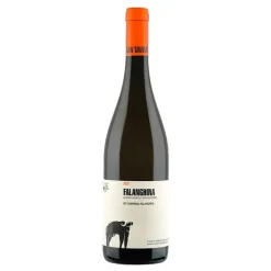 Falanghina Campania IGT 2023 Cantina San Salvatore 1988