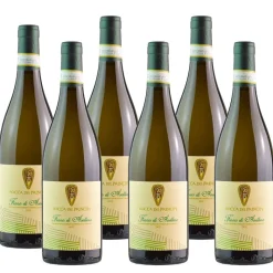 Fiano Rocca Del Principe Fiano di Avellino DOCG 2022 Rocca del Principe