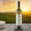 Fieno Di Ponza Lazio IGT 2022 Antiche Cantine Migliaccio