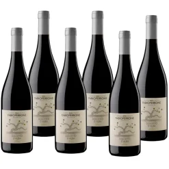 Fontana Dolcetto D'Alba DOC 2023 Azienda Agricola Fabio Perrone