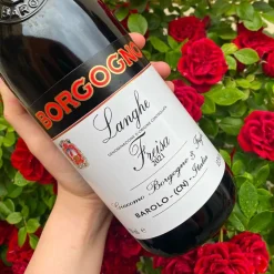 Freisa Langhe DOC 2021 Borgogno