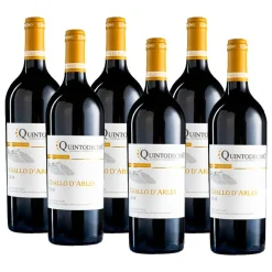 Giallo D'Arles Greco di Tufo DOCG 2023 Cantina Quintodecimo