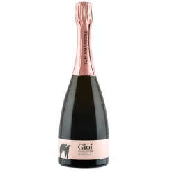 Gioì Brut Rosè Metodo Classico Spumante Rosè 2020 Cantina San Salvatore 1988