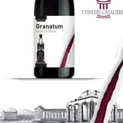 Granatum Cilento DOC 2020 I Vini del Cavaliere
