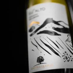 Indigeno Frizzante Sui Lieviti M.F. Bio Prosecco Colfondo 2021 L'Antica Quercia