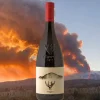 I Vigneri Etna DOC 2023 I Vigneri Di Salvo Foti