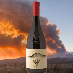 I Vigneri Etna DOC 2023 I Vigneri Di Salvo Foti