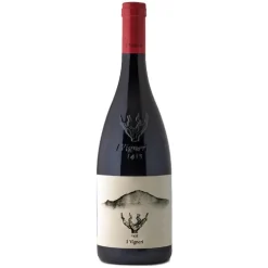 I Vigneri Etna DOC 2023 I Vigneri Di Salvo Foti