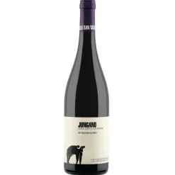 Jungano Aglianico Paestum IGP 2021 - Cantina San Salvatore 1988
