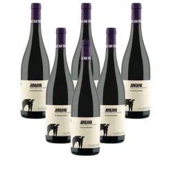 Jungano Paestum IGP 2020 Cantina San Salvatore 1988