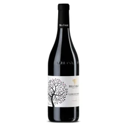 La Reala Nebbiolo D'Alba DOC 2023 - Bel Colle