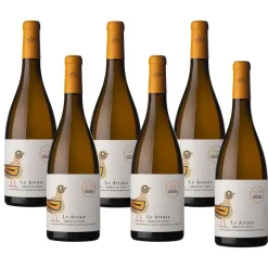 Le Arcaie Greco Di Tufo DOCG 2024 Passo Delle Tortore