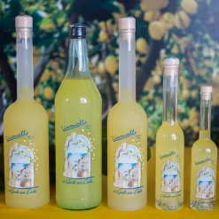 Limoncello Il Gusto Della Costa