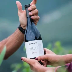 Liste Barolo DOCG 2018 Damilano Azienda Agricola