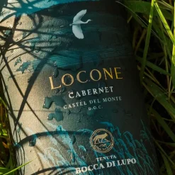 Locone Castel Del Monte DOC 2021 Cantine Marchesi Antinori