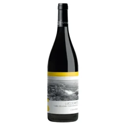 Luccicante Vermentino Colline di Levanto DOP 2024 - Cà Du Ferrà