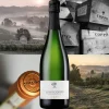 Luigi Coppo Alta Langa DOCG 2020 Cantine Coppo